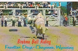 Wyoming Cheyenne Brahma Bull Riding Frontier Days