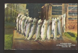 CASSVILLE MISSOURI ROARING RIVER STATE PARK FISHING FISH CATCH VINTAGE POSTCARD