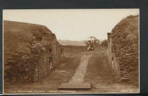 Wales Postcard - Processional Entrance, Caerleon Amphitheatre    RS9933