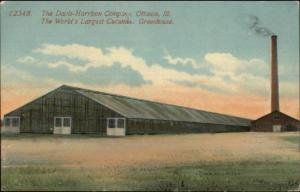 Ottawa IL Davis-Harrison Co Cucumber Greenhouse c1910 Postcard