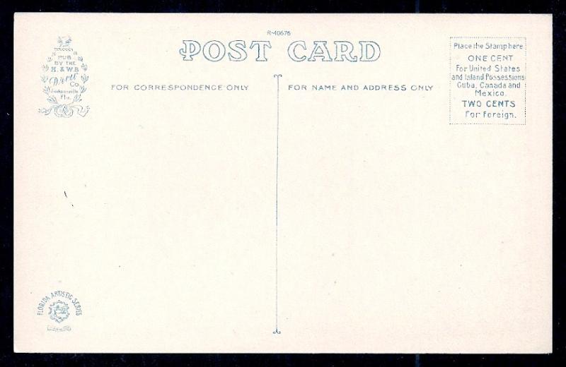 Hibiscus Blossoms Florida unused c1920's