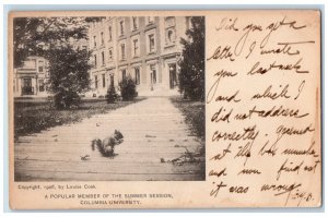 1908 Popular Member of the Summer Session Columbia University Business Postcard