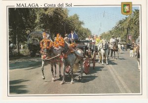 Málaga. Costa del Sol. Horses at the Park· Nice modern spanish postcard