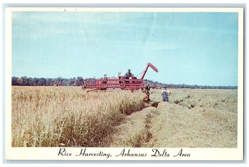 c1960's Rice Harvesting Scene Arkansas Delta Area Arkansas AR Unposted Postcard