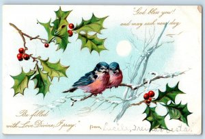 c1905 Christmas Birds Holly Berries Blanchard North Dakota ND Antique Postcard