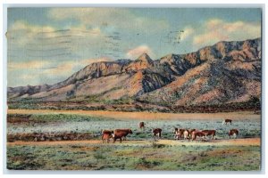 1939 Sandia Peak Needle Sandia Mountains Albuquerque New Mexico Vintage Postcard