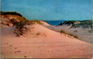 Picturesque Sand Dunes Cape Cod Massachusetts Chrome Cancel WOB Postcard 