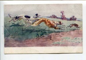 423482 Hare HUNT BORZOI by SAMOKISH vintage RARE Russian PC