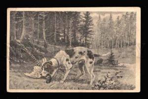 007793 Nice POINTER on Hunt in Forest BIRD Vintage PC