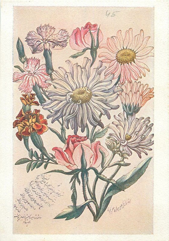 Iran miniature flowers  Postcard