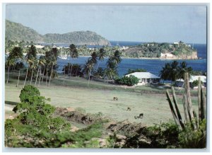 c1950's A View Along The South Coast of Antigua & Barbuda Vintage Postcard