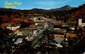 Colorado Estes Park Elk Horn Avenue