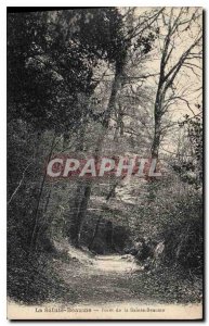 Old Postcard Foret La Sainte Baume