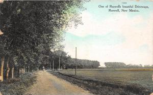 D42/ Roswell New Mexico NM Postcard 1911 Beautiful Driveway Woman Homes