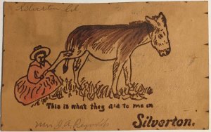 Donkey SILVERTON, COLORADO Leather Antique Postcard Western 1906 Odebolt, Iowa