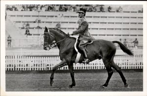 1936 Olympics Hungarian Horse Irany Von Jankovich Rider RPPC Vintage Postcard