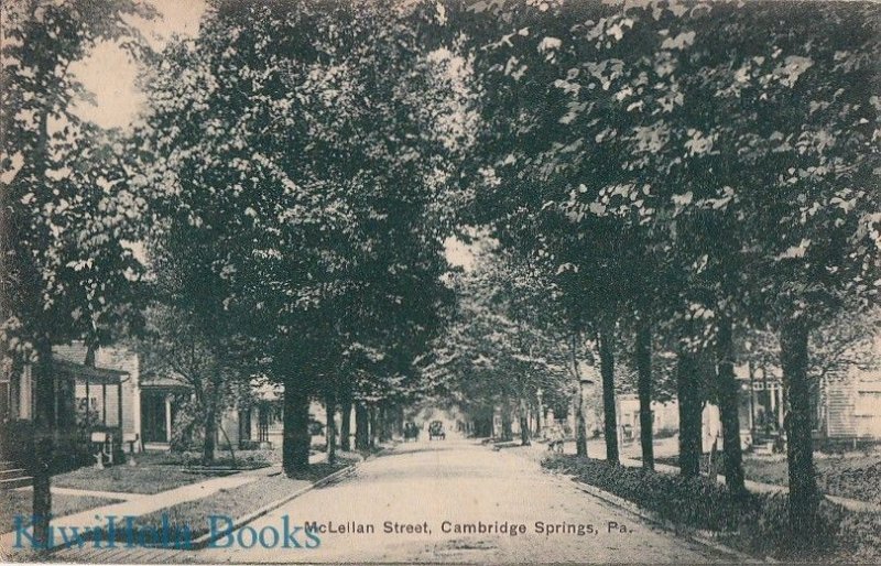 Postcard McLellan Street Cambridge Springs PA