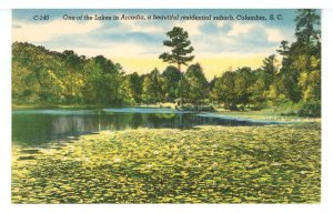 SC - Columbia. A Lake in Arcadia- Residential Suburb