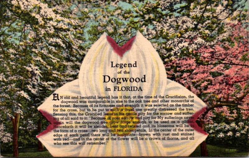 Florida Legend Of The Dogwood Curteich