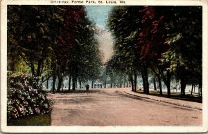 Vtg St Louis Missouri MO Driveway Forest Park 1910s Postcard