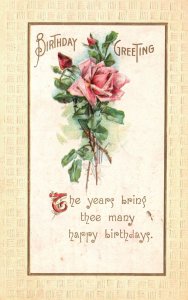 Vintage Postcard 1910's Birthday Greeting Pink Rose Natal Day Wishes Card