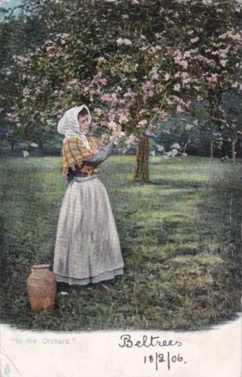 Tucks SIn The Orchard Rural Life Series 1906