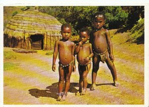 South Africa Postcard - Three Zulu Boys - Ref 20514A