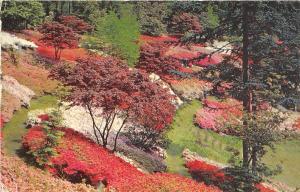 B31208 The Valley Gardens windsor Great Park l  uk