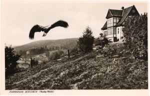 Berlebeck Hotel Eagle Real Photo Antique German Postcard