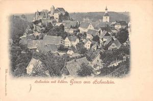 Hohnstein Germany Schloss Castle City View Gruss aus Antique Postcard J70449