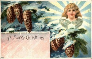 Christmas Angel Pine Cones Embossed c1900s-10s Postcard