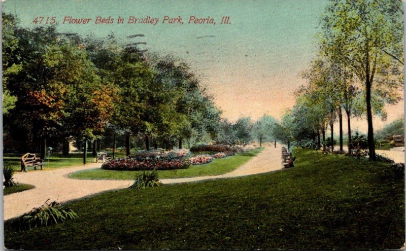 Illinois Peoria Flower Beds In Bradley Park 1911