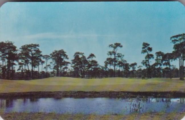 Florida Belleair 9th Green At Pelican Golf & Country Club