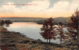Horse Shoe Lake Liberty New York Postcard