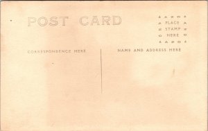 RPPC Brunette Woman Ermine Tail Wrap Muff Studio Real Photo Postcard AZO