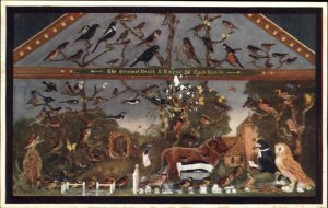 Bramber Museum Folk Art Death and Burial of Cock Robin Vintage Postcard