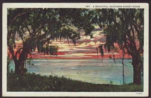 Beautiful Southern Sunset Scene Postcard 