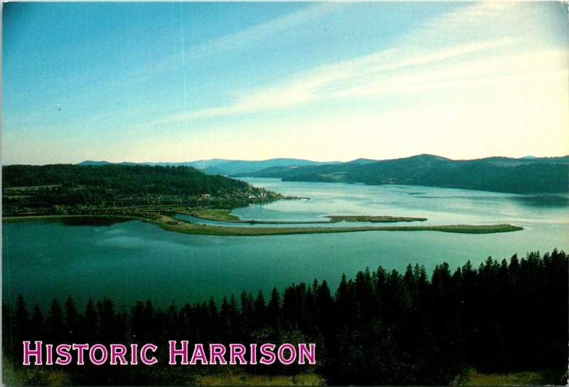 Historic Harrison ID Lake Coeur d'Alene Postcard unused (16715)