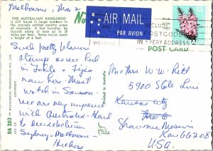 Australian Kangaroo Grouping 1960s Postcard