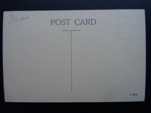 Devon HORNS CROSS Hoops Inn showing PETROL PUMPS STATION - Old Postcard