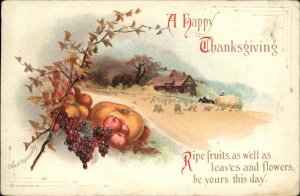 Thanksgiving Farm Pumpkin Apple Grapes Gilt Embossed Vintage Postcard