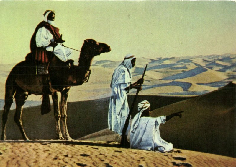 PC CPA SAUDI ARABIA, NEGED, NOMADES DU DESERT, Modern Postcard (b15890)