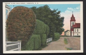 Nova Scotia YARMOUTH Hedges along Main Street Pub by Harry McKinlay ~ DB