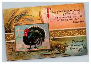 Vintage 1910's Winsch Back Thanksgiving Postcard Large Turkey Autumn Harvest