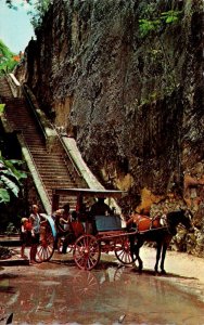 Bahamas Nassau Sightseeing Carriage At Queen's Staircase