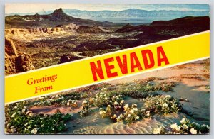 Nevada~Desert Views~Banner Greetings~1965 Postcard