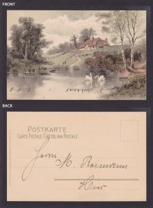 GERMANY, Vintage postcard, Swans, Birds, Used