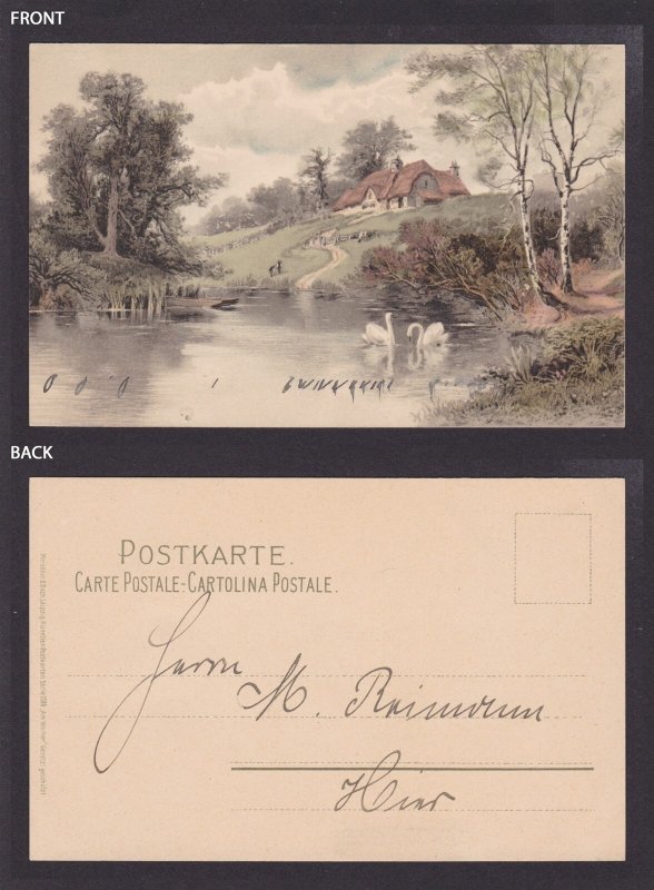 GERMANY, Vintage postcard, Swans, Birds, Used