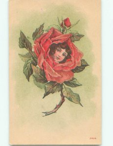 Divided-Back BEAUTIFUL FLOWERS SCENE Great Postcard AA3272