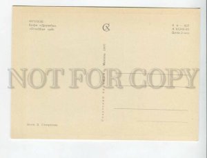 470003 USSR 1965 year Kyrgyzstan city of Frunze friendship cafe postcard